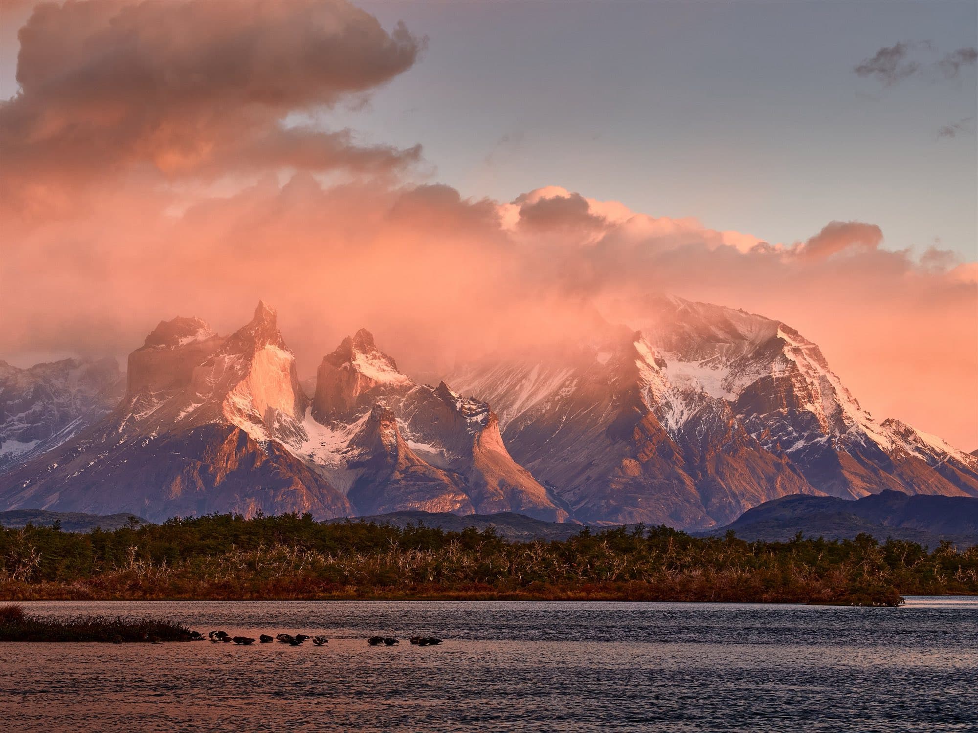 The peaks of Torres del Paine glowing pink at sunrise