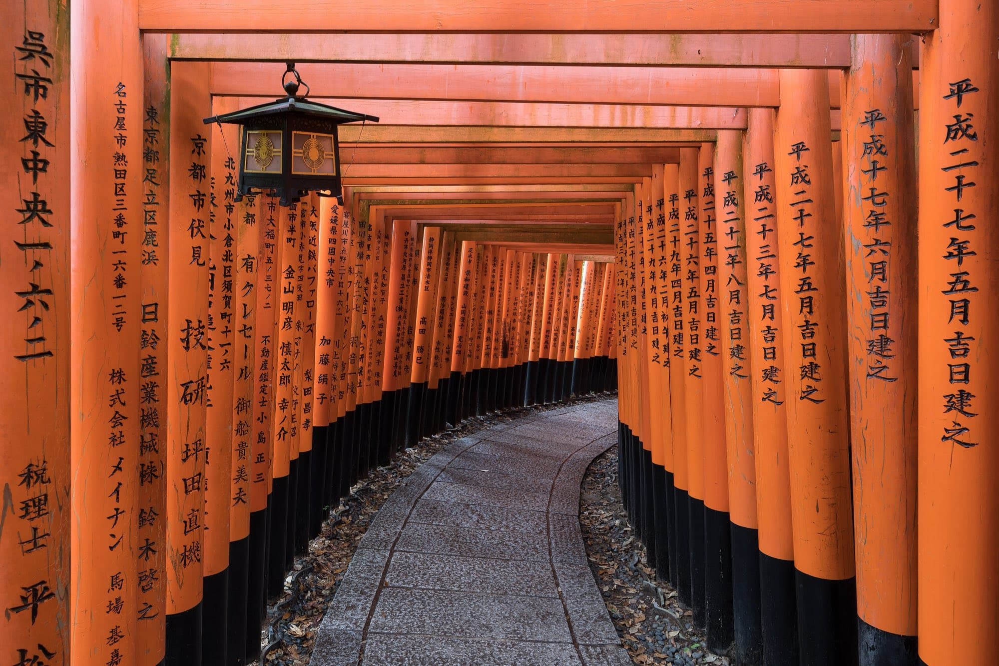A path through rows of orange torii gates at Fushimi Inari shrine
