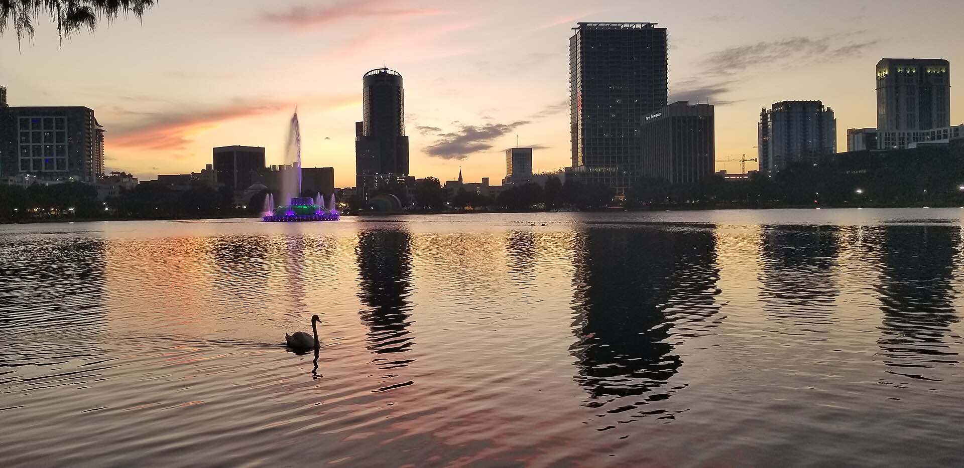 The Orlando skyline across Lake Eola at sunset